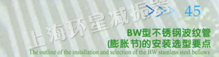 BW型不锈钢波纹管（膨胀节）